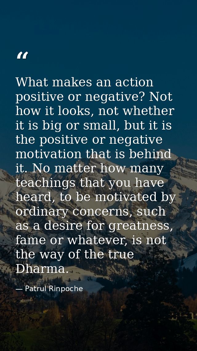 What makes an action positive or negative? Not how it looks, not whether it is big or small, but it is the positive or n — Patrul Rinpoche
