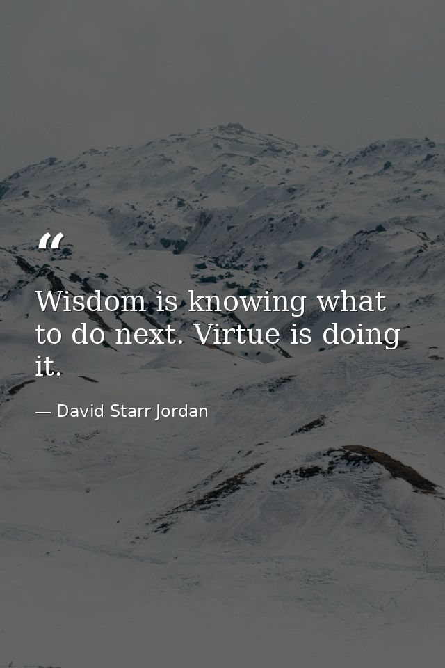 Wisdom is knowing what to do next. Virtue is doing it. — David Starr Jordan