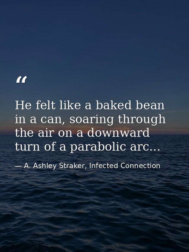 He felt like a baked bean in a can, soaring through the air on a downward turn of a parabolic arc... — A. Ashley Straker, Infected Connection
