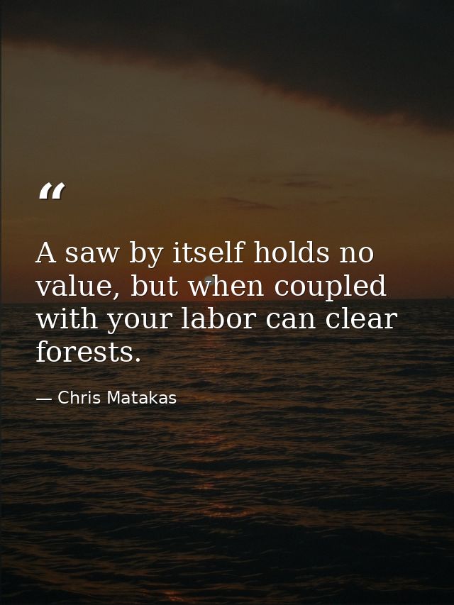 A saw by itself holds no value, but when coupled with your labor can clear forests. — Chris Matakas