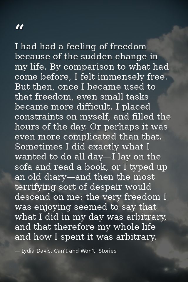 I had had a feeling of freedom because of the sudden change in my life. By comparison to what had come before, I felt im — Lydia Davis, Can't and Won't: Stories