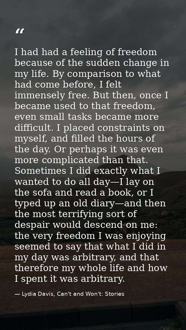 I had had a feeling of freedom because of the sudden change in my life. By comparison to what had come before, I felt im — Lydia Davis, Can't and Won't: Stories