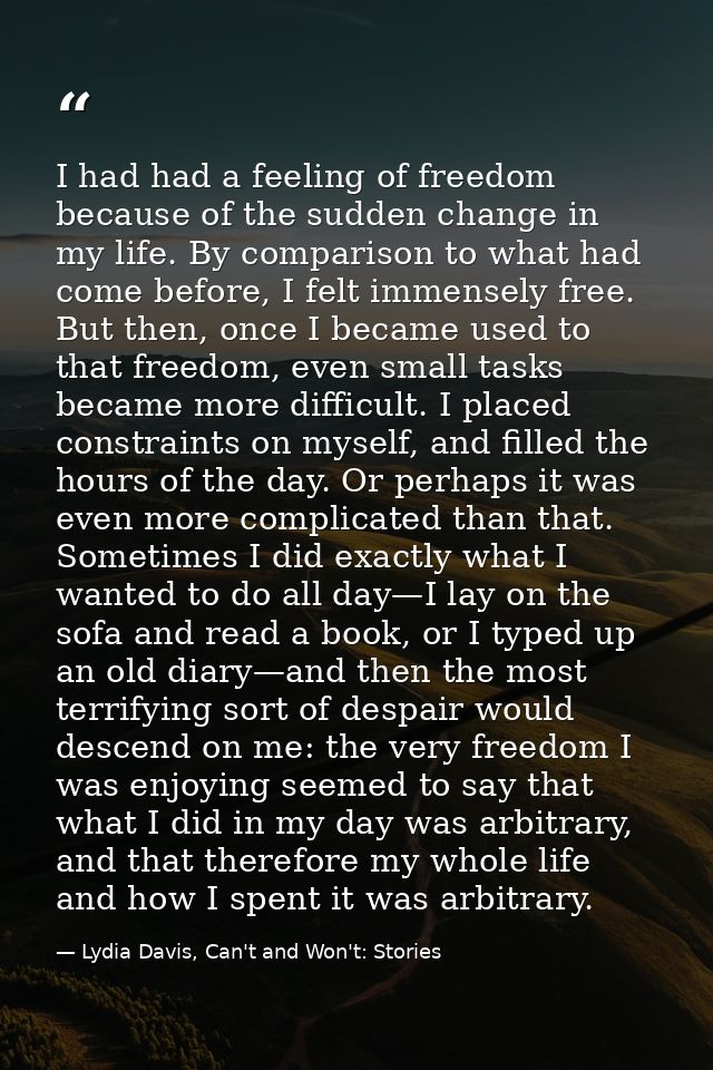 I had had a feeling of freedom because of the sudden change in my life. By comparison to what had come before, I felt im — Lydia Davis, Can't and Won't: Stories
