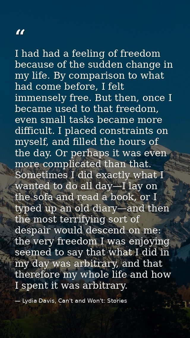 I had had a feeling of freedom because of the sudden change in my life. By comparison to what had come before, I felt im — Lydia Davis, Can't and Won't: Stories