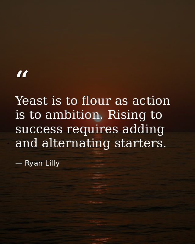 Yeast is to flour as action is to ambition. Rising to success requires adding and alternating starters. — Ryan Lilly