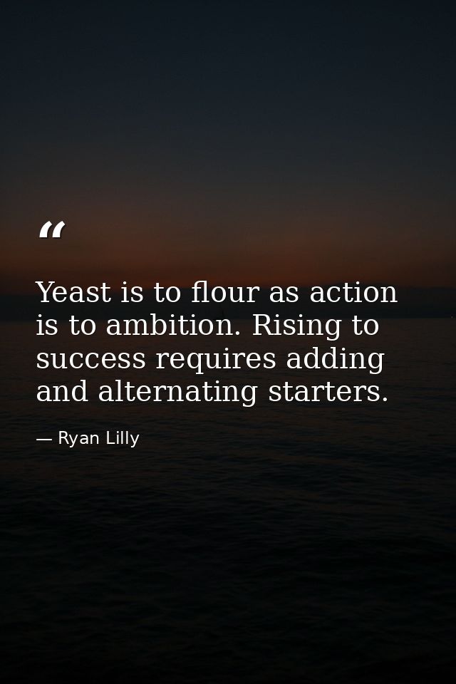 Yeast is to flour as action is to ambition. Rising to success requires adding and alternating starters. — Ryan Lilly