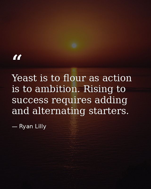 Yeast is to flour as action is to ambition. Rising to success requires adding and alternating starters. — Ryan Lilly