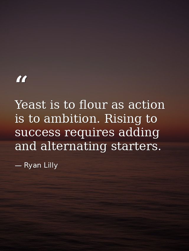Yeast is to flour as action is to ambition. Rising to success requires adding and alternating starters. — Ryan Lilly