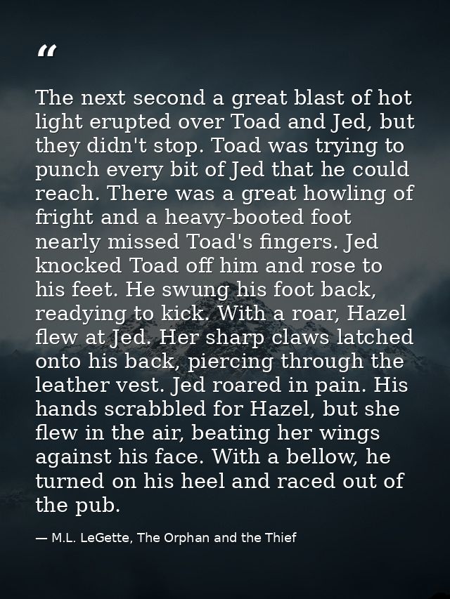 The next second a great blast of hot light erupted over Toad and Jed, but they didn't stop. Toad was trying to punch eve — M.L. LeGette, The Orphan and the Thief