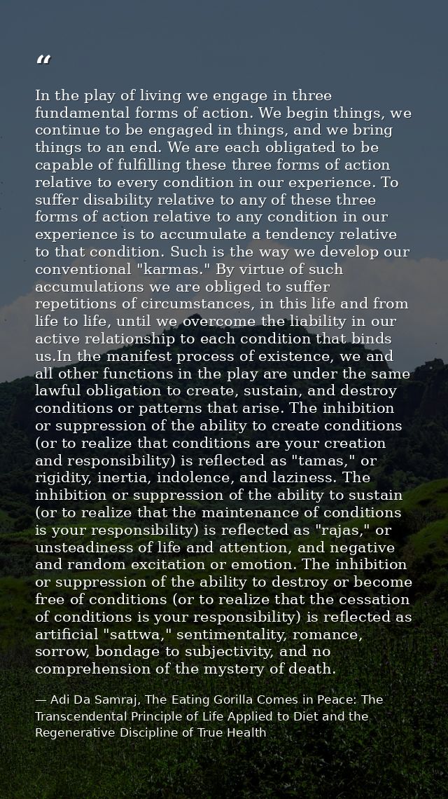 In the play of living we engage in three fundamental forms of action. We begin things, we continue to be engaged in thin — Adi Da Samraj, The Eating Gorilla Comes in Peace: The Transcendental Principle of Life Applied to Diet and the Regenerative Discipline of True Health