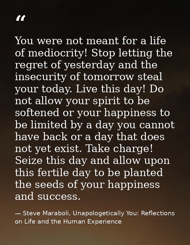 You were not meant for a life of mediocrity! Stop letting the regret of yesterday and the insecurity of tomorrow steal y — Steve Maraboli, Unapologetically You: Reflections on Life and the Human Experience