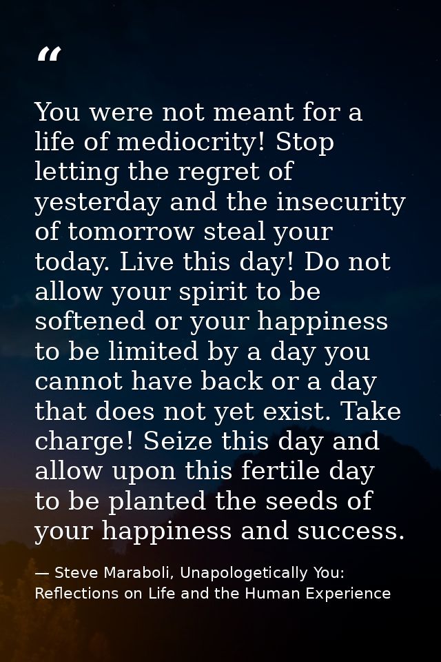 You were not meant for a life of mediocrity! Stop letting the regret of yesterday and the insecurity of tomorrow steal y — Steve Maraboli, Unapologetically You: Reflections on Life and the Human Experience