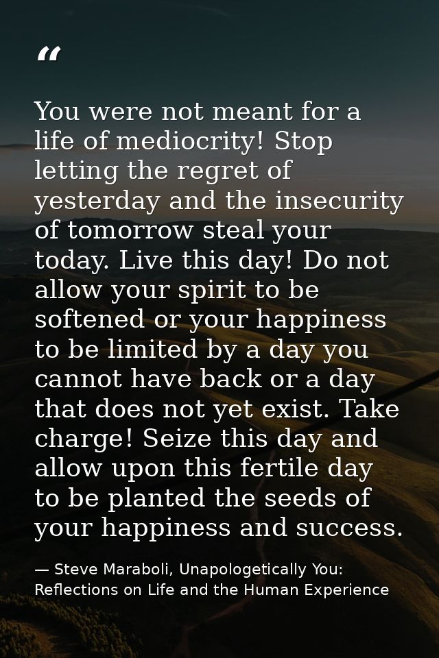 You were not meant for a life of mediocrity! Stop letting the regret of yesterday and the insecurity of tomorrow steal y — Steve Maraboli, Unapologetically You: Reflections on Life and the Human Experience
