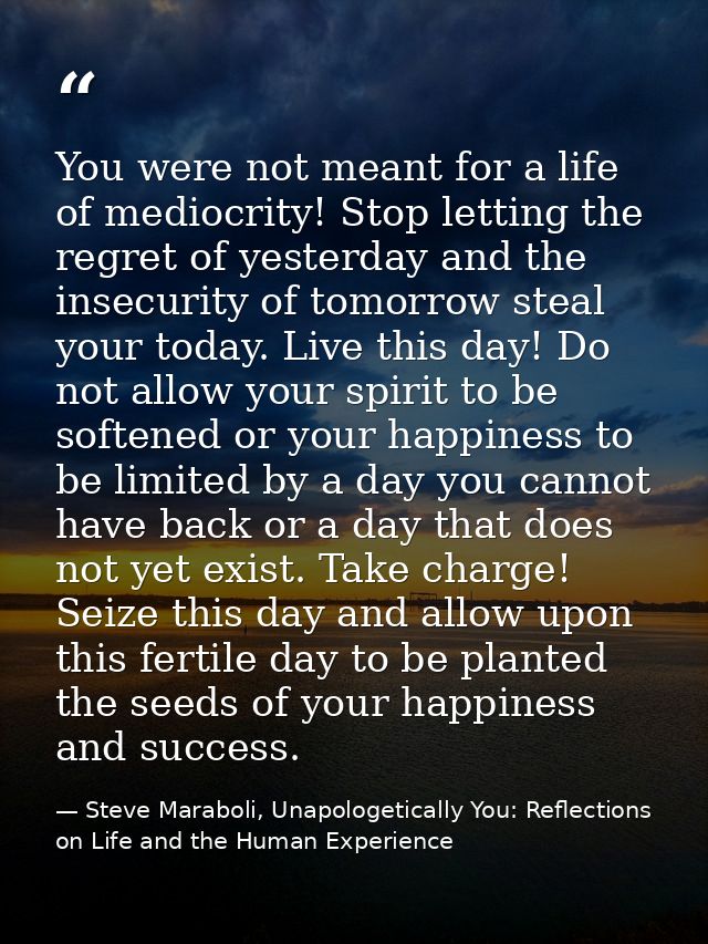 You were not meant for a life of mediocrity! Stop letting the regret of yesterday and the insecurity of tomorrow steal y — Steve Maraboli, Unapologetically You: Reflections on Life and the Human Experience