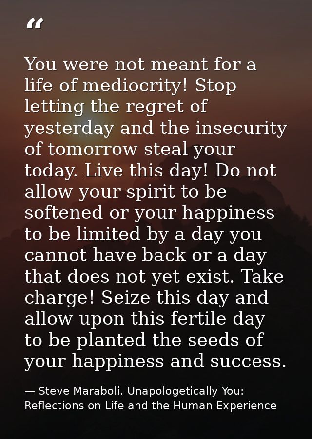 You were not meant for a life of mediocrity! Stop letting the regret of yesterday and the insecurity of tomorrow steal y — Steve Maraboli, Unapologetically You: Reflections on Life and the Human Experience