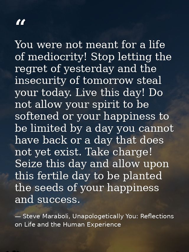 You were not meant for a life of mediocrity! Stop letting the regret of yesterday and the insecurity of tomorrow steal y — Steve Maraboli, Unapologetically You: Reflections on Life and the Human Experience