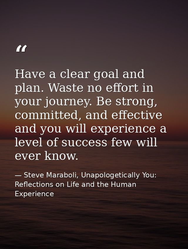 Have a clear goal and plan. Waste no effort in your journey. Be strong, committed, and effective and you will experience — Steve Maraboli, Unapologetically You: Reflections on Life and the Human Experience