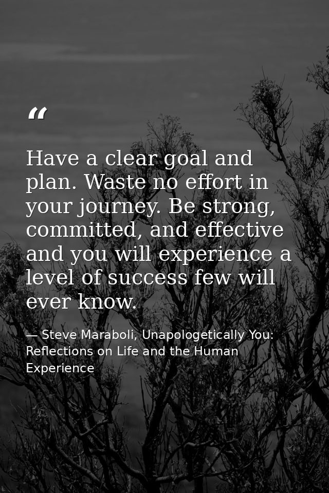 Have a clear goal and plan. Waste no effort in your journey. Be strong, committed, and effective and you will experience — Steve Maraboli, Unapologetically You: Reflections on Life and the Human Experience