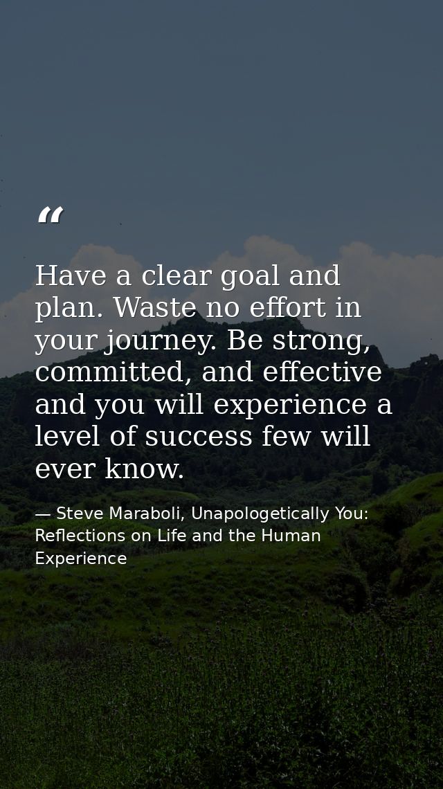 Have a clear goal and plan. Waste no effort in your journey. Be strong, committed, and effective and you will experience — Steve Maraboli, Unapologetically You: Reflections on Life and the Human Experience