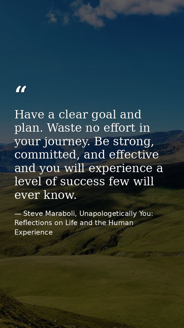 Have a clear goal and plan. Waste no effort in your journey. Be strong, committed, and effective and you will experience — Steve Maraboli, Unapologetically You: Reflections on Life and the Human Experience