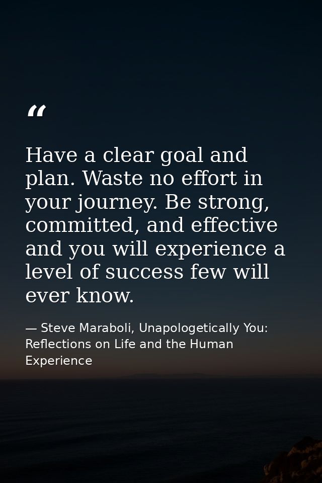 Have a clear goal and plan. Waste no effort in your journey. Be strong, committed, and effective and you will experience — Steve Maraboli, Unapologetically You: Reflections on Life and the Human Experience