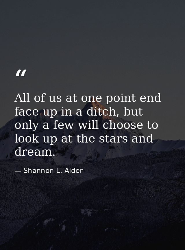 All of us at one point end face up in a ditch, but only a few will choose to look up at the stars and dream. — Shannon L. Alder
