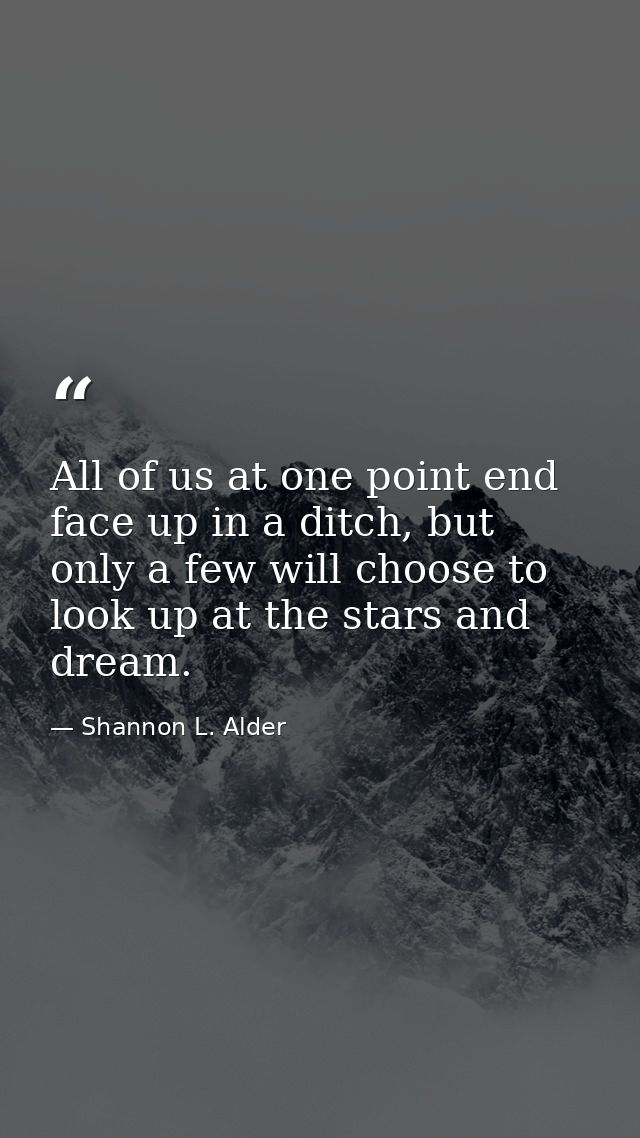 All of us at one point end face up in a ditch, but only a few will choose to look up at the stars and dream. — Shannon L. Alder