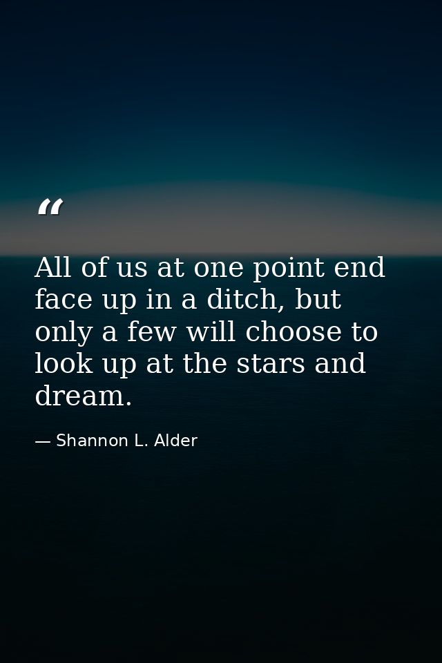All of us at one point end face up in a ditch, but only a few will choose to look up at the stars and dream. — Shannon L. Alder