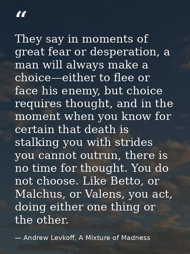 They say in moments of great fear or desperation, a man will always make a choice—either to flee or face his enemy, but  — Andrew Levkoff, A Mixture of Madness