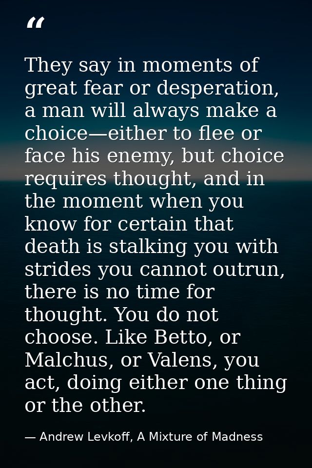 They say in moments of great fear or desperation, a man will always make a choice—either to flee or face his enemy, but  — Andrew Levkoff, A Mixture of Madness