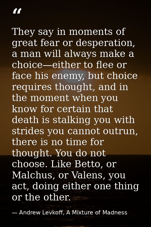 They say in moments of great fear or desperation, a man will always make a choice—either to flee or face his enemy, but  — Andrew Levkoff, A Mixture of Madness