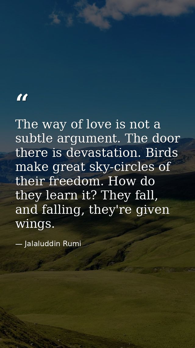 The way of love is not a subtle argument. The door there is devastation. Birds make great sky-circles of their freedom.  — Jalaluddin Rumi
