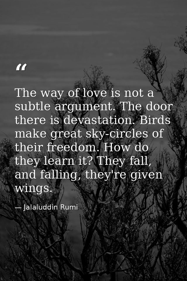 The way of love is not a subtle argument. The door there is devastation. Birds make great sky-circles of their freedom.  — Jalaluddin Rumi