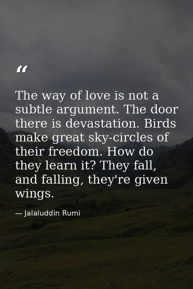 The way of love is not a subtle argument. The door there is devastation. Birds make great sky-circles of their freedom.  — Jalaluddin Rumi