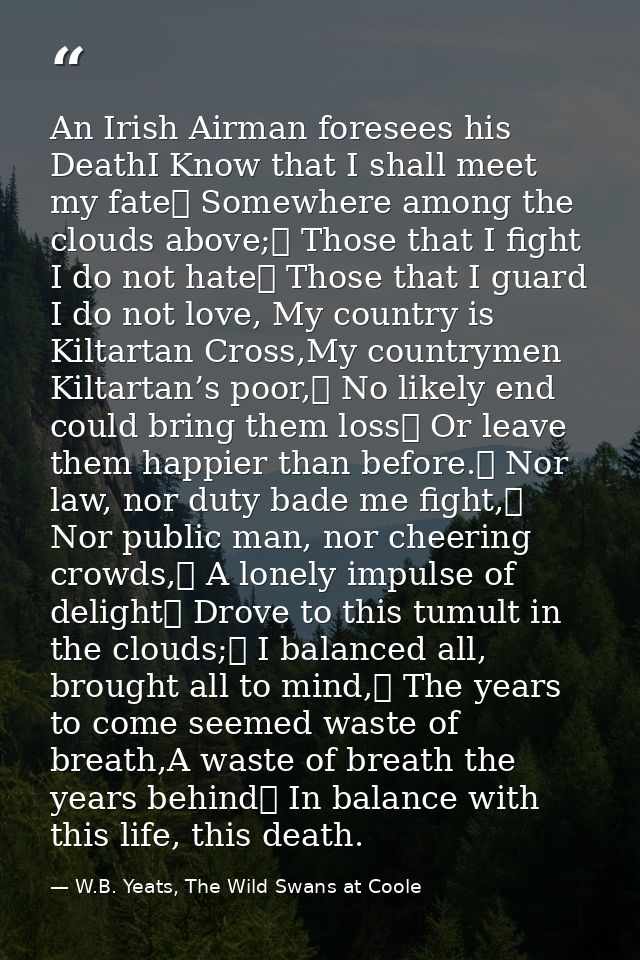 An Irish Airman foresees his DeathI Know that I shall meet my fate	 Somewhere among the clouds above;	 Those that I figh — W.B. Yeats, The Wild Swans at Coole