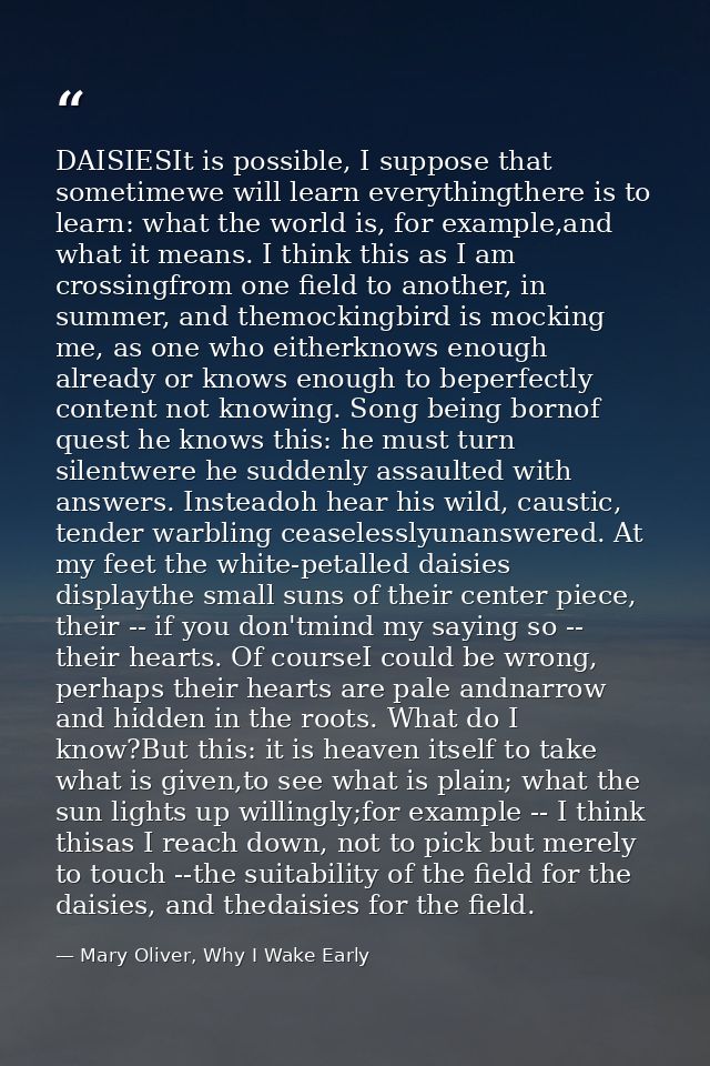 DAISIESIt is possible, I suppose that sometimewe will learn everythingthere is to learn: what the world is, for example, — Mary Oliver, Why I Wake Early