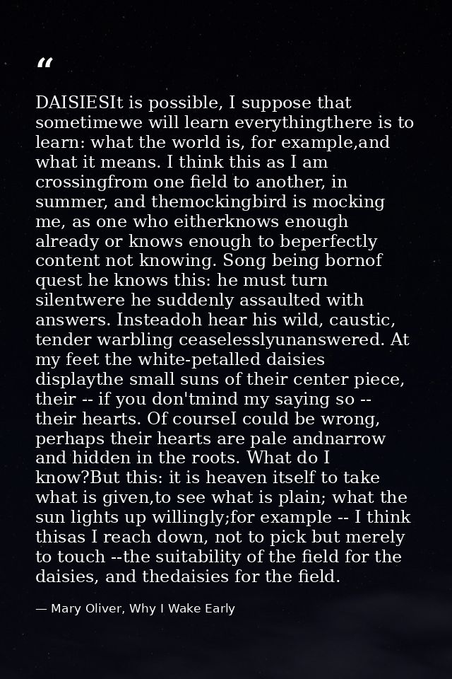 DAISIESIt is possible, I suppose that sometimewe will learn everythingthere is to learn: what the world is, for example, — Mary Oliver, Why I Wake Early