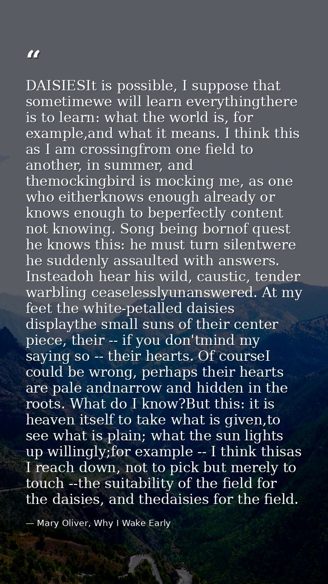 DAISIESIt is possible, I suppose that sometimewe will learn everythingthere is to learn: what the world is, for example, — Mary Oliver, Why I Wake Early