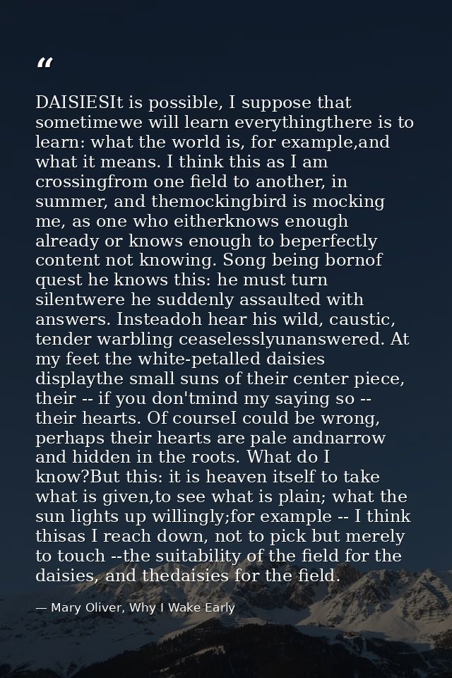DAISIESIt is possible, I suppose that sometimewe will learn everythingthere is to learn: what the world is, for example, — Mary Oliver, Why I Wake Early