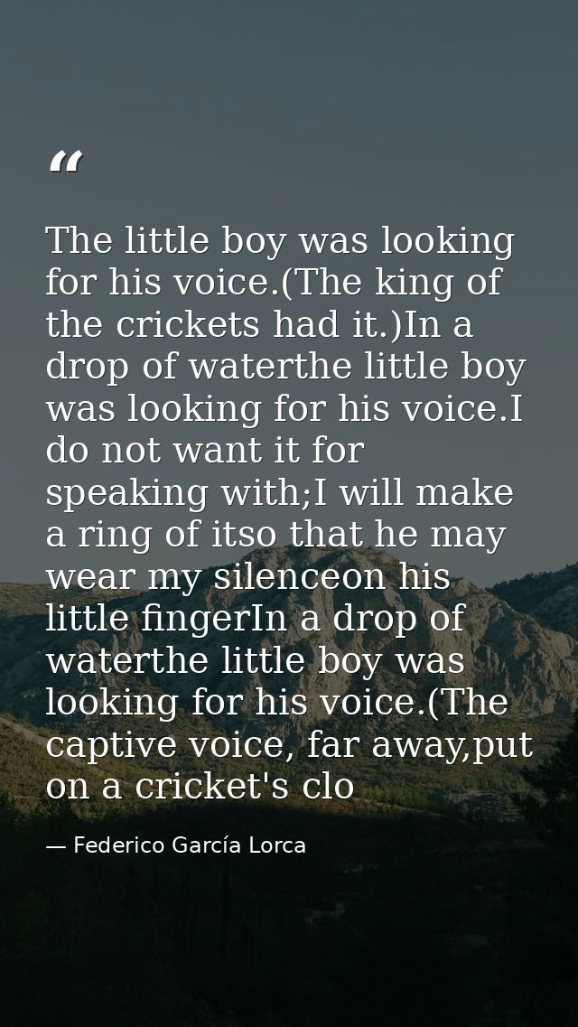 The little boy was looking for his voice.(The king of the crickets had it.)In a drop of waterthe little boy was looking  — Federico García Lorca