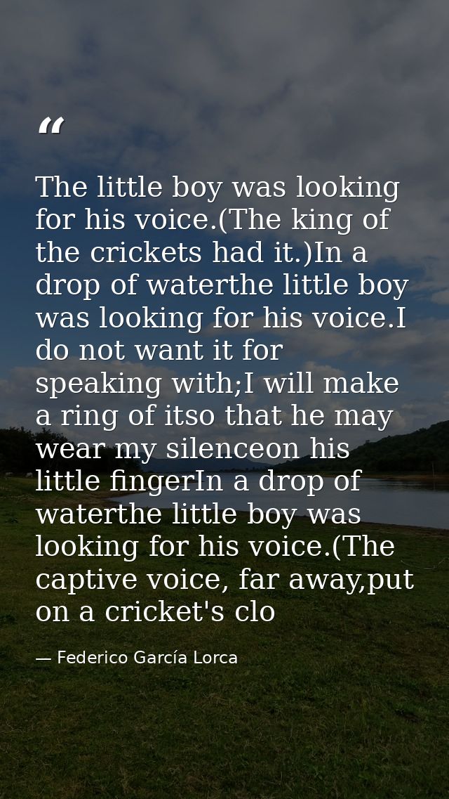 The little boy was looking for his voice.(The king of the crickets had it.)In a drop of waterthe little boy was looking  — Federico García Lorca