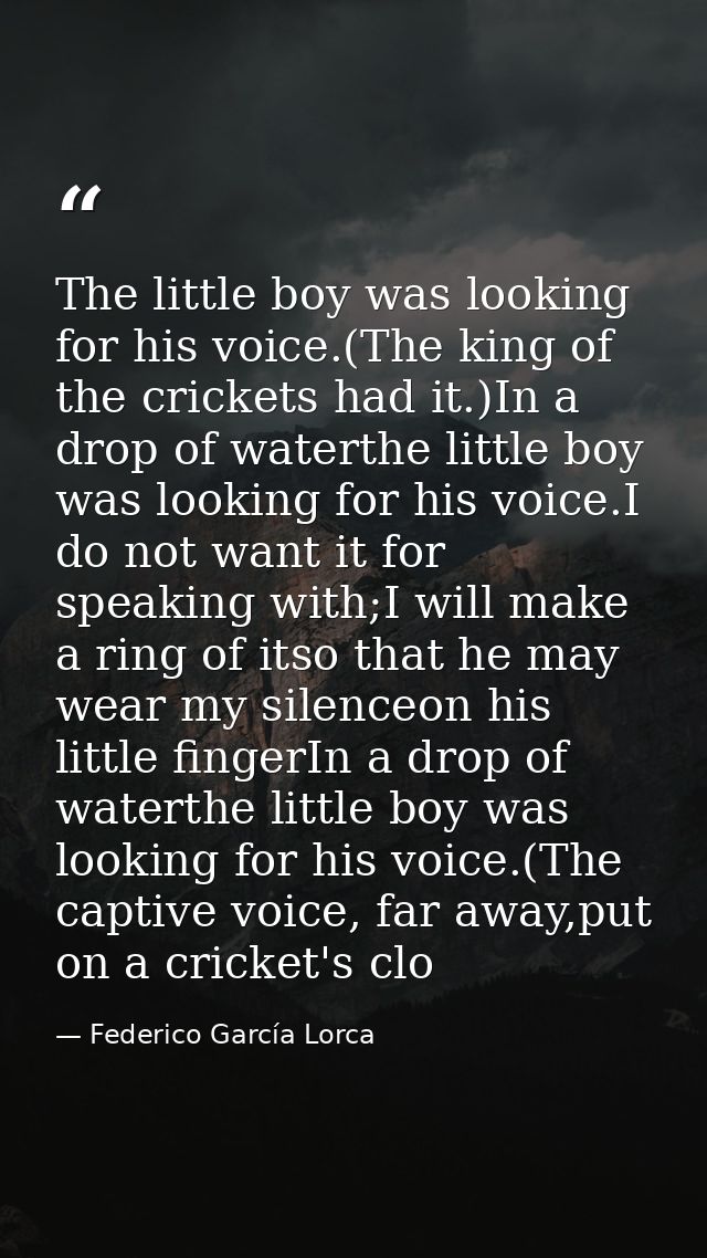 The little boy was looking for his voice.(The king of the crickets had it.)In a drop of waterthe little boy was looking  — Federico García Lorca