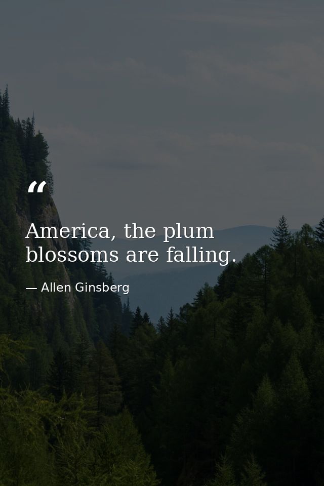America, the plum blossoms are falling. — Allen Ginsberg