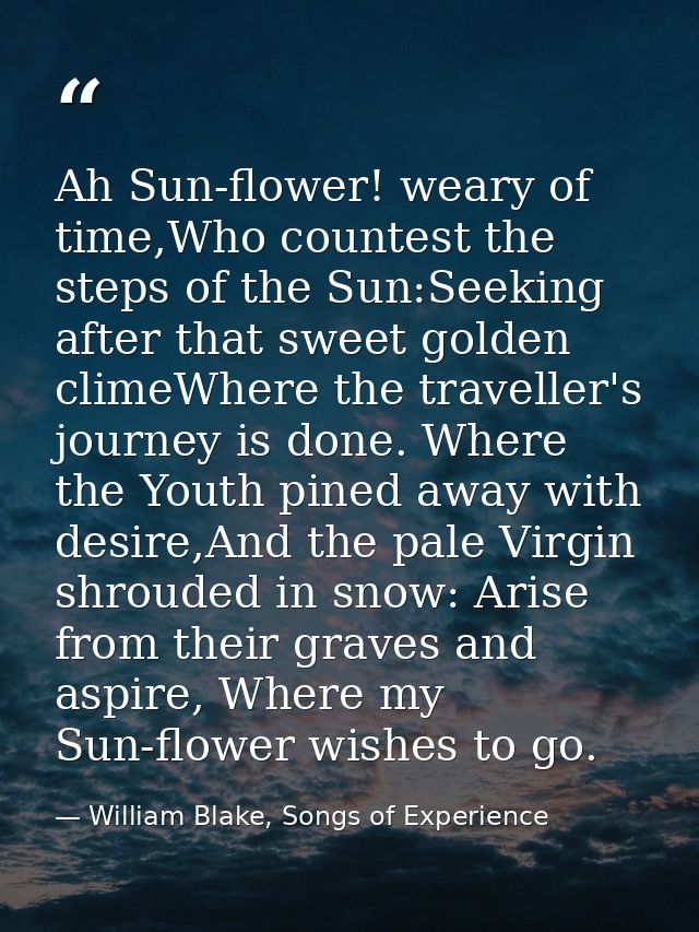 Ah Sun-flower! weary of time,Who countest the steps of the Sun:Seeking after that sweet golden climeWhere the traveller' — William Blake, Songs of Experience