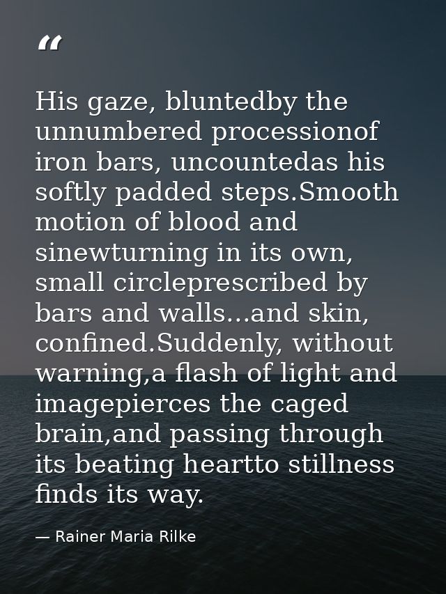 His gaze, bluntedby the unnumbered processionof iron bars, uncountedas his softly padded steps.Smooth motion of blood an — Rainer Maria Rilke
