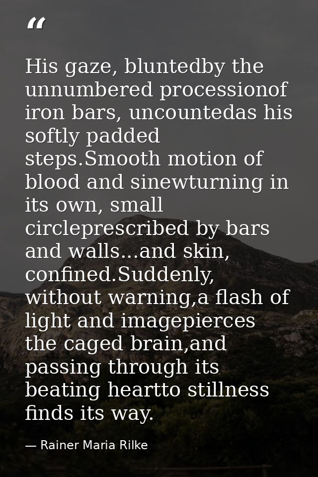 His gaze, bluntedby the unnumbered processionof iron bars, uncountedas his softly padded steps.Smooth motion of blood an — Rainer Maria Rilke
