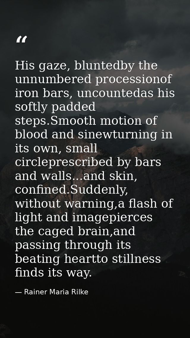 His gaze, bluntedby the unnumbered processionof iron bars, uncountedas his softly padded steps.Smooth motion of blood an — Rainer Maria Rilke