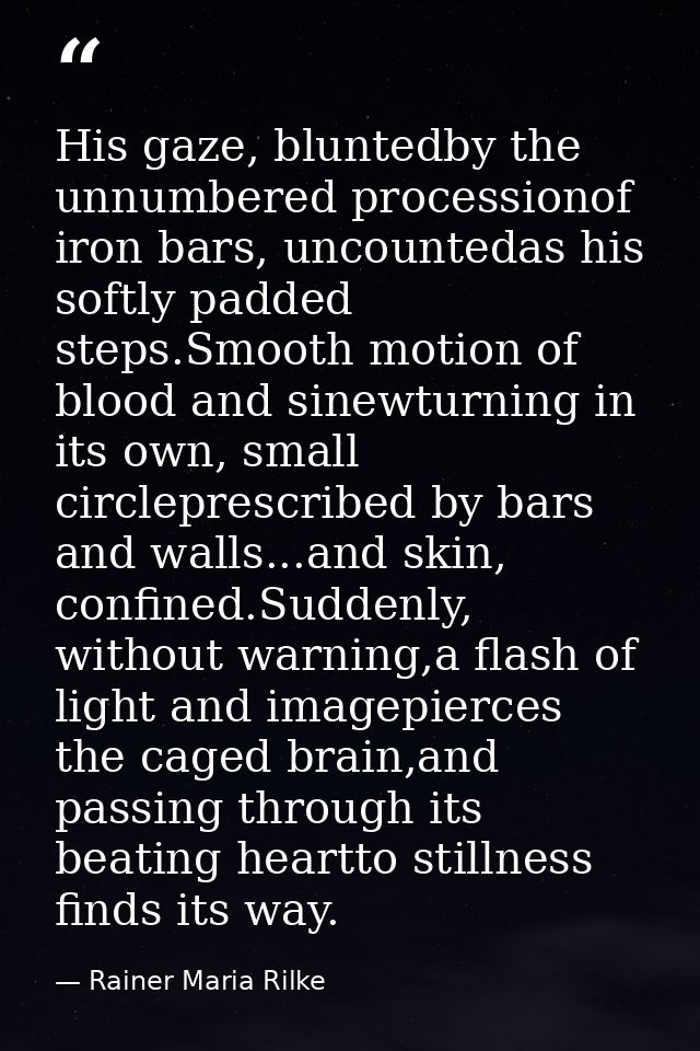 His gaze, bluntedby the unnumbered processionof iron bars, uncountedas his softly padded steps.Smooth motion of blood an — Rainer Maria Rilke