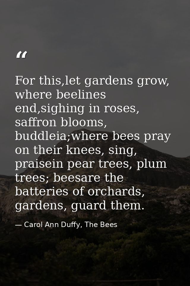 For this,let gardens grow, where beelines end,sighing in roses, saffron blooms, buddleia;where bees pray on their knees, — Carol Ann Duffy, The Bees