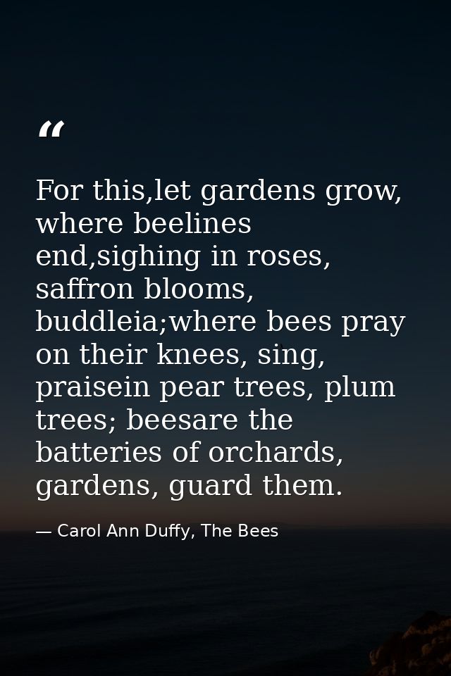 For this,let gardens grow, where beelines end,sighing in roses, saffron blooms, buddleia;where bees pray on their knees, — Carol Ann Duffy, The Bees